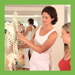 Lehrteam der AG Sportphysiotherapie